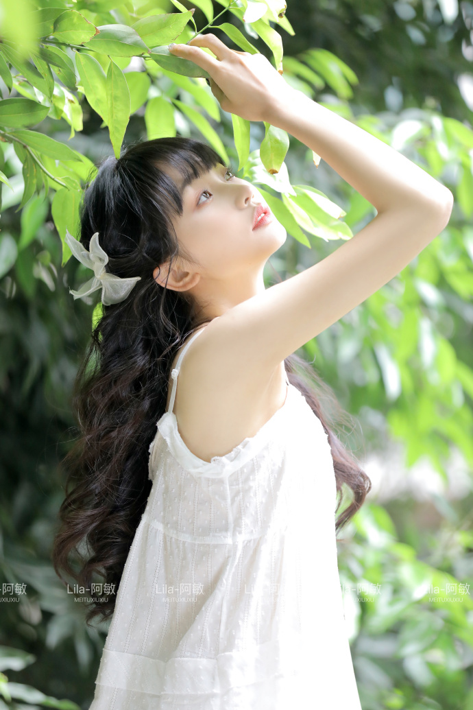 解剖大师 封面